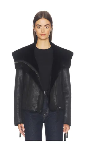 BLOUSON EN MOUTON RETOURNÉ X WE THE FREE FOURLINE en . Taille L. Also en M, S, XS - Free People - Modalova