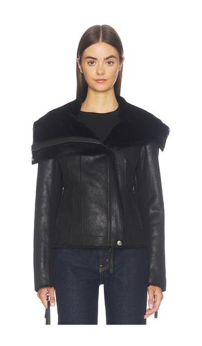 BLOUSON EN MOUTON RETOURNÉ X WE THE FREE FOURLINE en . Taille XS. Also en S, M, L, XL - Free People - Modalova
