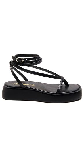 SANDALE COMPENSÉES DRAPÉES WINNIE in . Size 11, 6.5 - Free People - Modalova