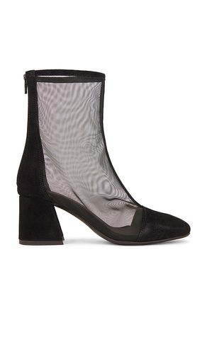 BOTTINES WISTERIA in . Size 6.5, 7, 7.5, 8 - Free People - Modalova