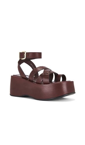 SANDALES HAZEL en . Taille 11. Also en 9.5 - Free People - Modalova