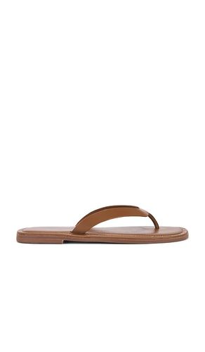 SANDALES TONG SONA in . Size 7, 8, 9, 10, 11 - Free People - Modalova