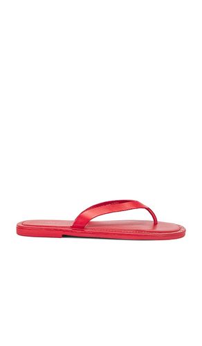 SANDALES TONG SONA en . Taille 10. Also en 7, 8 - Free People - Modalova