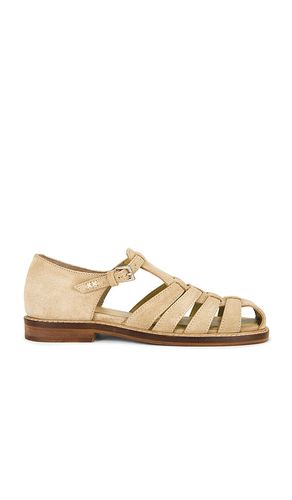 SANDALES FISHERMAN WILLOW in . Size 6.5, 7.5, 8.5, 9, 9.5, 10, 11 - Free People - Modalova