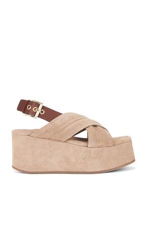 Beach Party Platform Sandal in . Size 10. Also in 11, 6, 8, 8.5, 9, 9.5 - Free People - Modalova