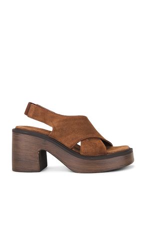 Cora Platfrom Clog in . Size 8.5. Also in 9, 9.5 - Free People - Modalova