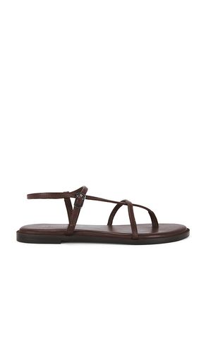 Corsica Strappy Sandal in . Size 10. Also in 6.5, 7, 7.5, 8, 8.5, 9, 9.5 - Free People - Modalova