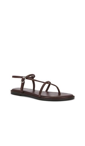 SANDALES CORSICA STRAPPY en . Taille 10. Also en 6, 6.5, 7, 7.5, 8, 8.5, 9, 9.5 - Free People - Modalova