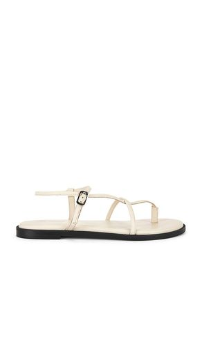 SANDALES CORSICA STRAPPY en . Taille 6.5. Also en - Free People - Modalova