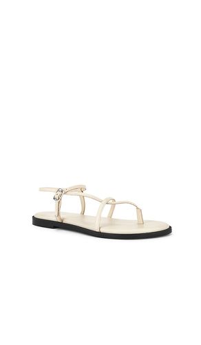 SANDALES CORSICA STRAPPY en . Taille 6.5. Also en - Free People - Modalova