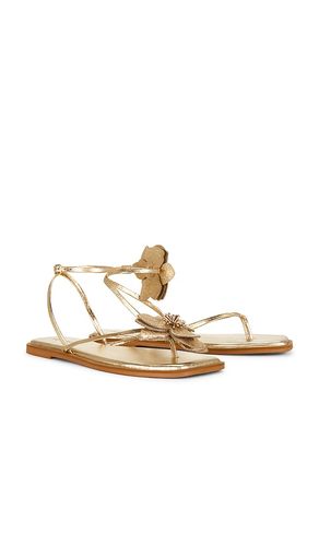 SANDALES MISMATCH MAGNOLIA en . Taille 6. Also en 6.5, 7, 7.5, 9.5 - Free People - Modalova