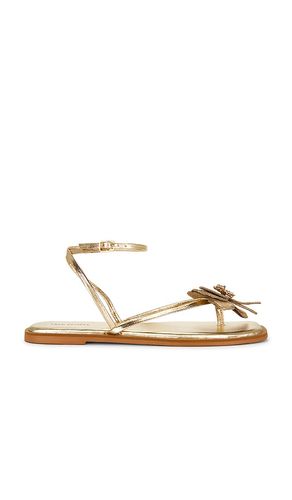 SANDALES MISMATCH MAGNOLIA en . Taille 6. Also en 6.5, 7, 7.5, 9.5 - Free People - Modalova