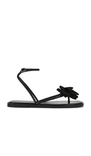Mismatch Magnolia Sandal in . Size 11. Also in 7.5, 8, 8.5, 9, 9.5 - Free People - Modalova