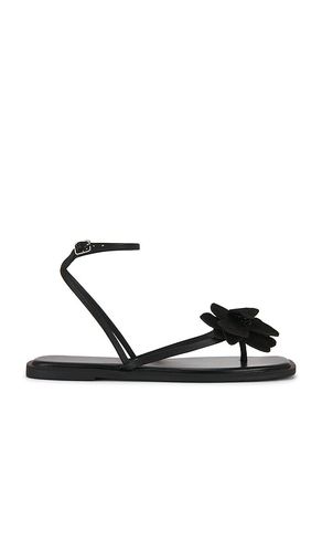 SANDALES MISMATCH MAGNOLIA en . Taille 11. Also en 7.5, 8, 8.5, 9, 9.5 - Free People - Modalova