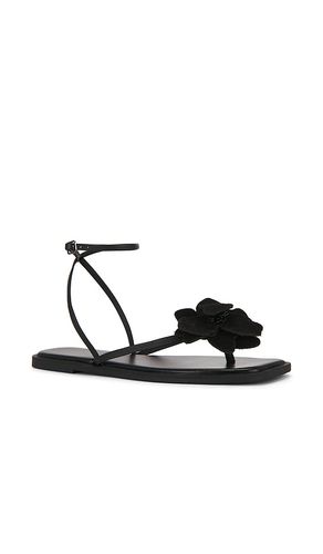 SANDALES MISMATCH MAGNOLIA en . Taille 11. Also en 7.5, 8, 9.5 - Free People - Modalova