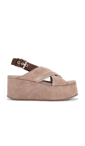 SANDALES BEACH PARTY en . Taille 10. Also en 7, 7.5, 8, 8.5, 9, 9.5 - Free People - Modalova