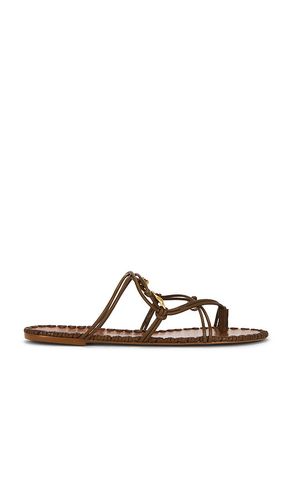 SANDALES SEA FLAT en . Taille 10. Also en 6, 6.5, 7, 7.5, 8.5, 9, 9.5 - FARM Rio - Modalova