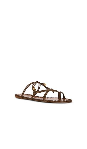 SANDALES SEA FLAT en . Taille 10. Also en 6, 6.5, 7, 7.5, 8.5, 9, 9.5 - FARM Rio - Modalova