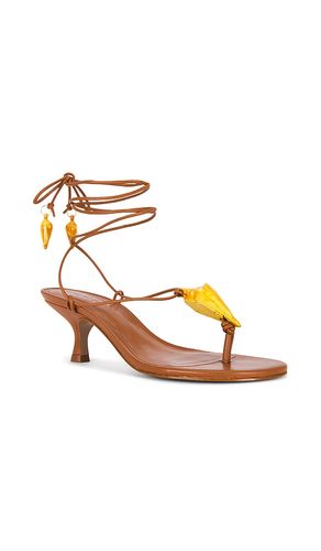 Shell Macrame Kitten Heel in . Size 10. Also in 6, 6.5, 7, 7.5, 8, 8.5, 9, 9.5 - FARM Rio - Modalova