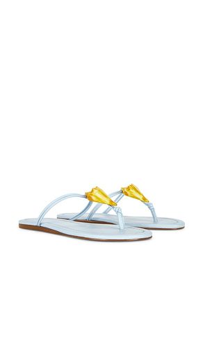 Shell Flat Sandal in . Size 10. Also in 6, 6.5, 7, 7.5, 8, 8.5, 9 - FARM Rio - Modalova