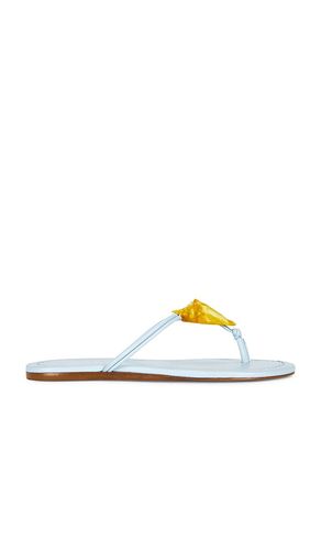 Shell Flat Sandal in . Size 10. Also in 6, 6.5, 7, 7.5, 8, 8.5, 9 - FARM Rio - Modalova