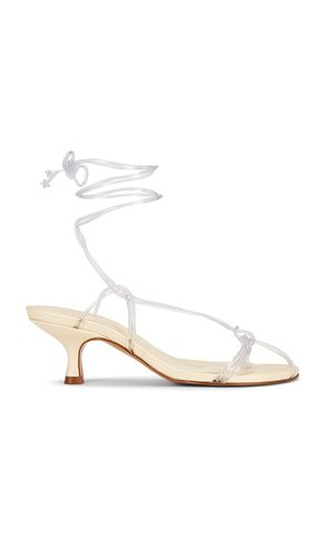 Spaghetti Jelly Kitten Heel in . Size 6. Also in 6.5, 7, 7.5, 8, 9 - FARM Rio - Modalova