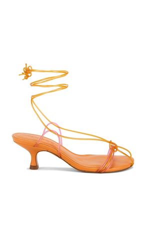 ESCARPINS SPAGHETTI JELLY KITTEN en . Taille 8. Also en 10 - FARM Rio - Modalova
