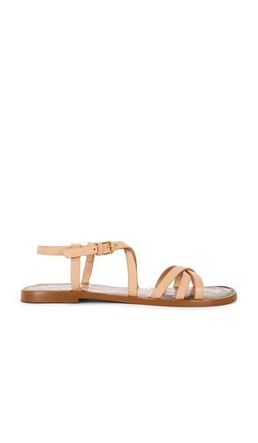 Spring Flat Sandal in . Size 10. Also in 6, 7, 7.5, 8, 8.5, 9, 9.5 - FARM Rio - Modalova