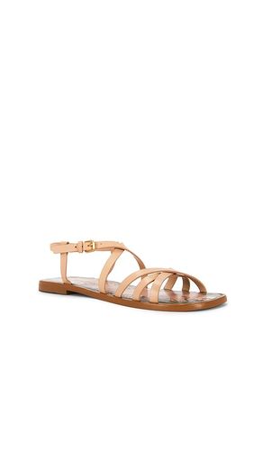 Spring Flat Sandal in . Size 10. Also in 6, 7, 7.5, 8, 8.5, 9, 9.5 - FARM Rio - Modalova