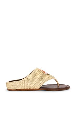 Raffia Icons Flat Sandal in . Size 10. Also in 6, 7, 7.5, 8, 8.5 - FARM Rio - Modalova