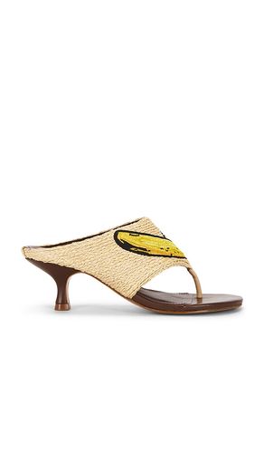 Raffia Icons Kitten Heel in . Size 7. Also in 7.5, 8, 8.5, 9 - FARM Rio - Modalova