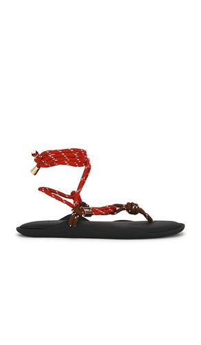 SANDALES FL TWIN en . Taille 36. Also en 37, 38, 39, 40 - Flòwze - Modalova