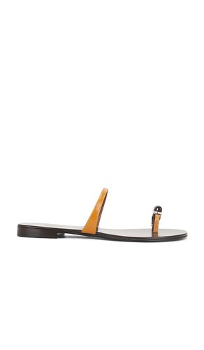 SANDALES GANASS 10 en . Taille 36. Also en 40 - Giuseppe Zanotti - Modalova