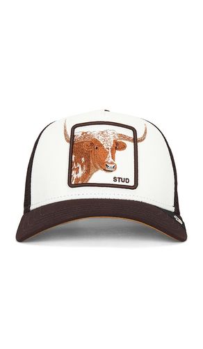 CHAPEAU OVER en - Goorin Brothers - Modalova