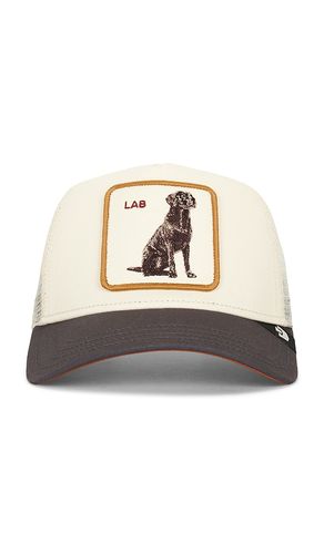 CHAPEAU SHADOW en - Goorin Brothers - Modalova