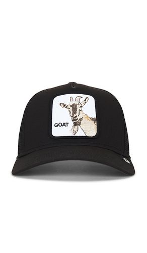 CHAPEAU GOAT en - Goorin Brothers - Modalova