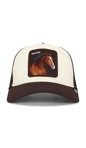 CHAPEAU GAUCHO en - Goorin Brothers - Modalova