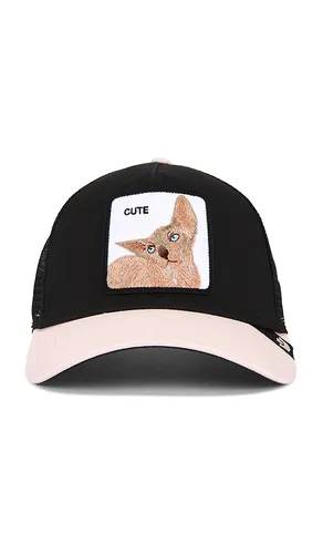 CASQUETTE SPHYNX en - Goorin Brothers - Modalova