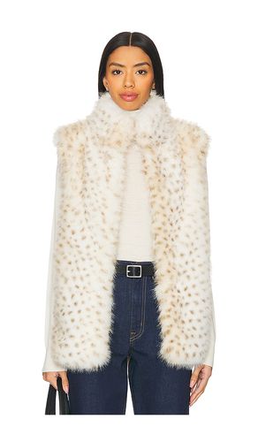 Mimi Leopard Faux Fur Vest in . Size M, S, XS, XXS - Generation Love - Modalova