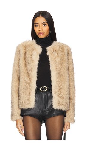 BLOUSON IMITATION FOURRURE LUCAS in . Size S, XL, XXL - Generation Love - Modalova