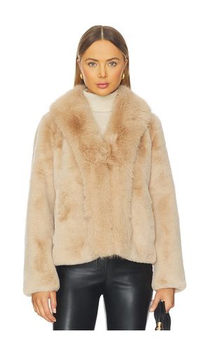 Dasha Faux Fur Jacket en . Taille L. Also en - Generation Love - Modalova