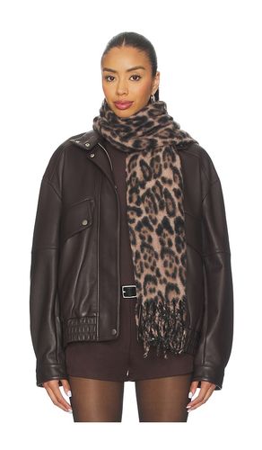 Hat Attack Leopard Scarf in Brown - Hat Attack - Modalova