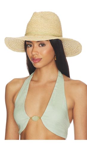 Raffia Braid Continental Fedora Hat in - Hat Attack - Modalova