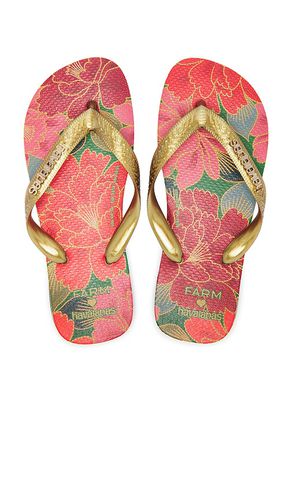 SANDALES FARM RIO RED FLORALS in . Size 37/38, 41/42 - Havaianas - Modalova