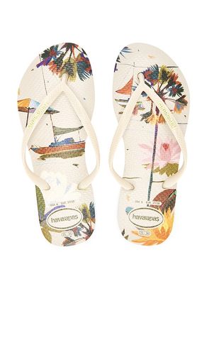 Slim Summer Bliss Sandal in . Size 37/38, 39/40, 41/42 - Havaianas - Modalova
