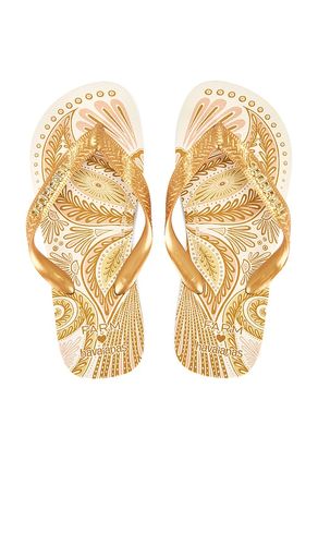 TONGS FARM PAPILLON in . Size 37/38, 39/40, 41/42 - Havaianas - Modalova