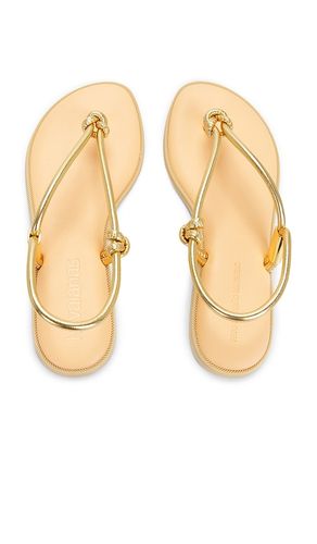 SANDALES UNA AA en . Taille 36. Also en 37 - Havaianas - Modalova