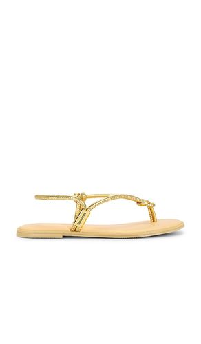 SANDALES UNA AA en . Taille 36. Also en 37, 39 - Havaianas - Modalova