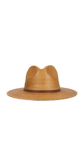 Botero Fedora Hat in . Size L. Also in M, S - Hemlock Hat Co - Modalova