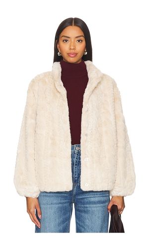 BLOUSON MARTHA in . Size XL, XS - HEARTLOOM - Modalova